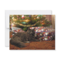 Christmas Cat