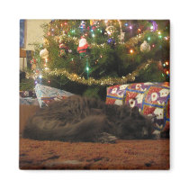 Christmas Cat