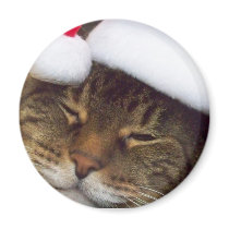 Christmas cat magnet