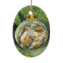 Christmas Cat ornament