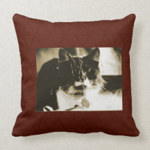 Christmas cat with tinsel pillow