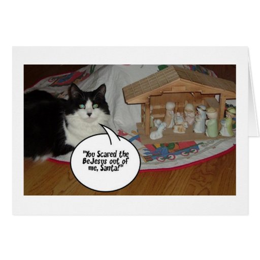 Christmas Cats Card