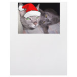 Christmas Cats