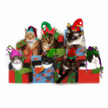 Christmas Cats Photo Cut Outs