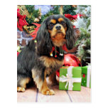 Christmas - Cavalier - Charlie Postcard
