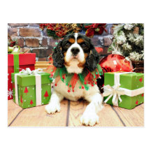 Christmas - Cavalier King Charles Spaniel - Bandit Postcard