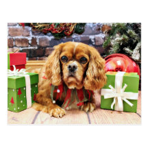 Christmas - Cavalier King Charles Spaniel - Lily Postcard