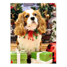Christmas - Cavalier King Charles Spaniel Maverick Postcard