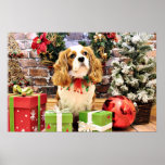 Christmas - Cavalier King Charles Spaniel Maverick Poster