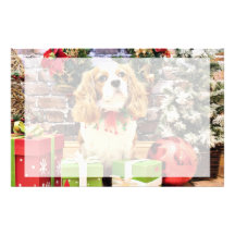 Christmas - Cavalier King Charles Spaniel Maverick Stationery