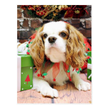 Christmas - Cavalier King Charles Spaniel  Mei Mei Post Cards