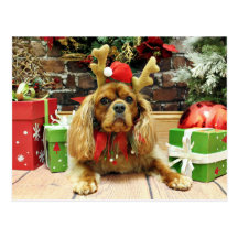 Christmas - Cavalier King Charles Spaniel - Meyers Postcard