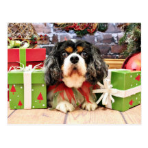 Christmas - Cavalier King Charles Spaniel - Rose Post Card