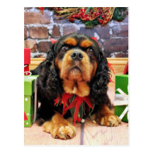 Christmas - Cavalier King Charles Spaniel SweetPea Postcard