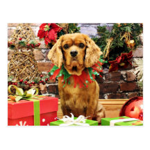 Christmas - Cavalier King Charles Spaniel - White Postcards