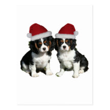 Christmas Cavaliers Post Cards