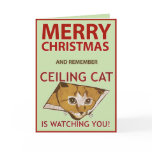 Christmas Ceiling Cat Card