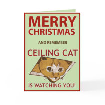 Christmas Ceiling Cat Card