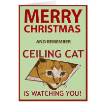 Christmas Ceiling Cat Card