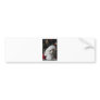 Christmas Chihuahua Bumper Sticker