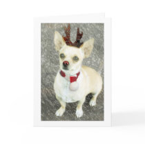 Christmas Chihuahua Card