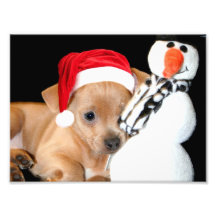 Christmas Chihuahua Photo Art