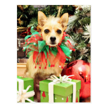 Christmas - Chihuahua X - Buster Post Cards