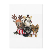 Christmas Chihuahuas Postcards