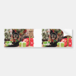 Christmas - Chow Chow - Moki Bumper Sticker