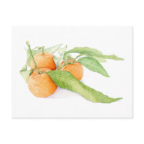 Christmas Clementines Postcard
