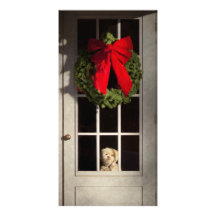Christmas - Clinton, NJ - Christmas puppy Picture Card