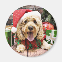Christmas - Cockapoo - Sadie Magnet