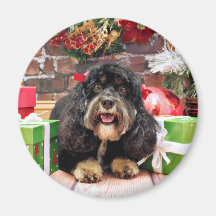 Christmas - Cockapoo - Sadie Refrigerator Magnet