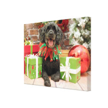 Christmas - Cockapoo - Trumbo Gallery Wrapped Canvas