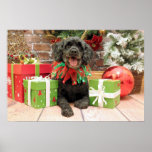 Christmas - Cockapoo - Trumbo Poster