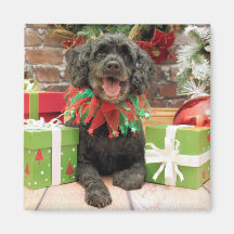 Christmas - Cockapoo - Trumbo Refrigerator Magnet