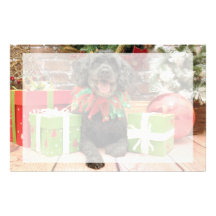 Christmas - Cockapoo - Trumbo Customized Stationery