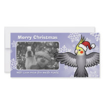 Christmas Cockatiel