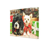 Christmas - Cocker Socks - Pomeranian X Daisy Gallery Wrap Canvas