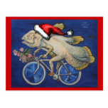 Christmas Coelacanth Post Cards