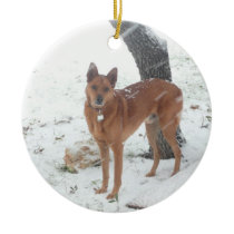 Christmas Collection Add Pet or Family Photos Christmas Tree Ornament