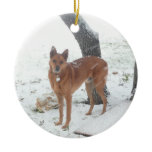 Christmas Collection In Memory of Champ Christmas Ornaments