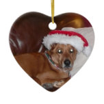 Christmas Collection Your Pet Photo Christmas Ornaments