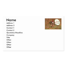 Christmas Coyote Business Cards