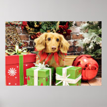 Christmas - Dachshund - Bo Poster