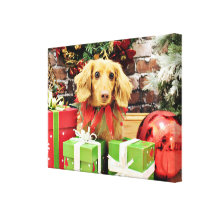 Christmas - Dachshund - Bo Stretched Canvas Print