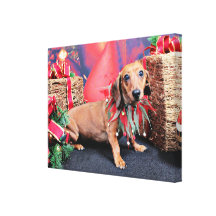 Christmas - Dachshund - Copper Stretched Canvas Print