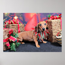 Christmas - Dachshund - Copper Print