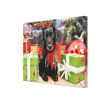 Christmas - Dachshund - Lily Gallery Wrapped Canvas