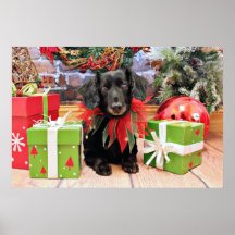 Christmas - Dachshund - Lily Poster